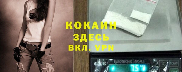 амф Сосновый Бор