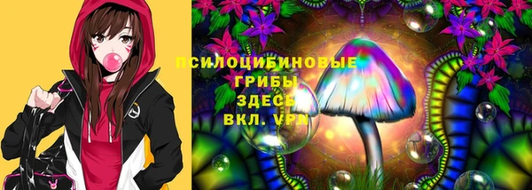 герыч Сосновка