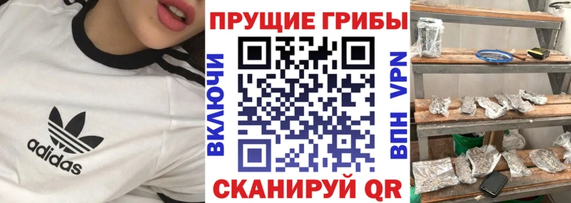 Псилоцибиновые грибы ЛСД Пермь