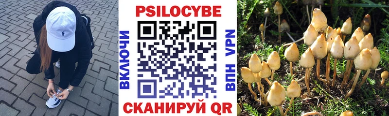 маркетплейс как зайти  цены наркотик  Пермь  Галлюциногенные грибы ЛСД 